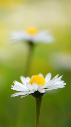 Zuiver Bewust, energetische coaching en healing, revieuw